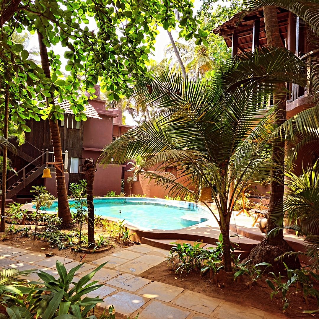 The vibe is peaceful and cosy